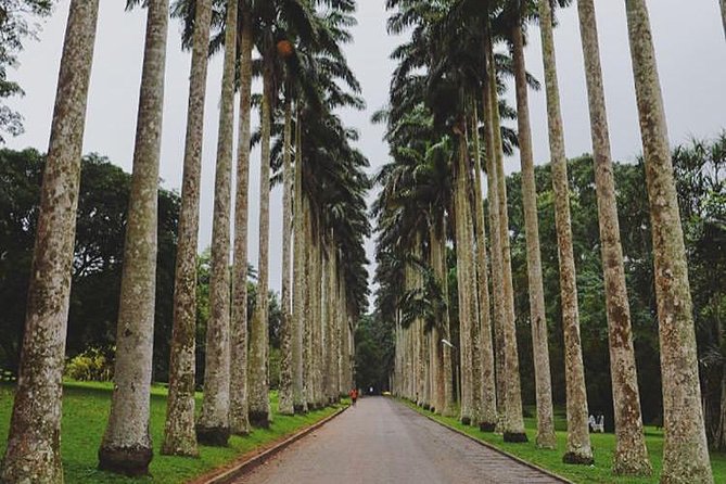 Aburi Botanical Gardens from Accra: A Day Trip Worth the Drive